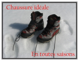 Chaussure montante de montagne