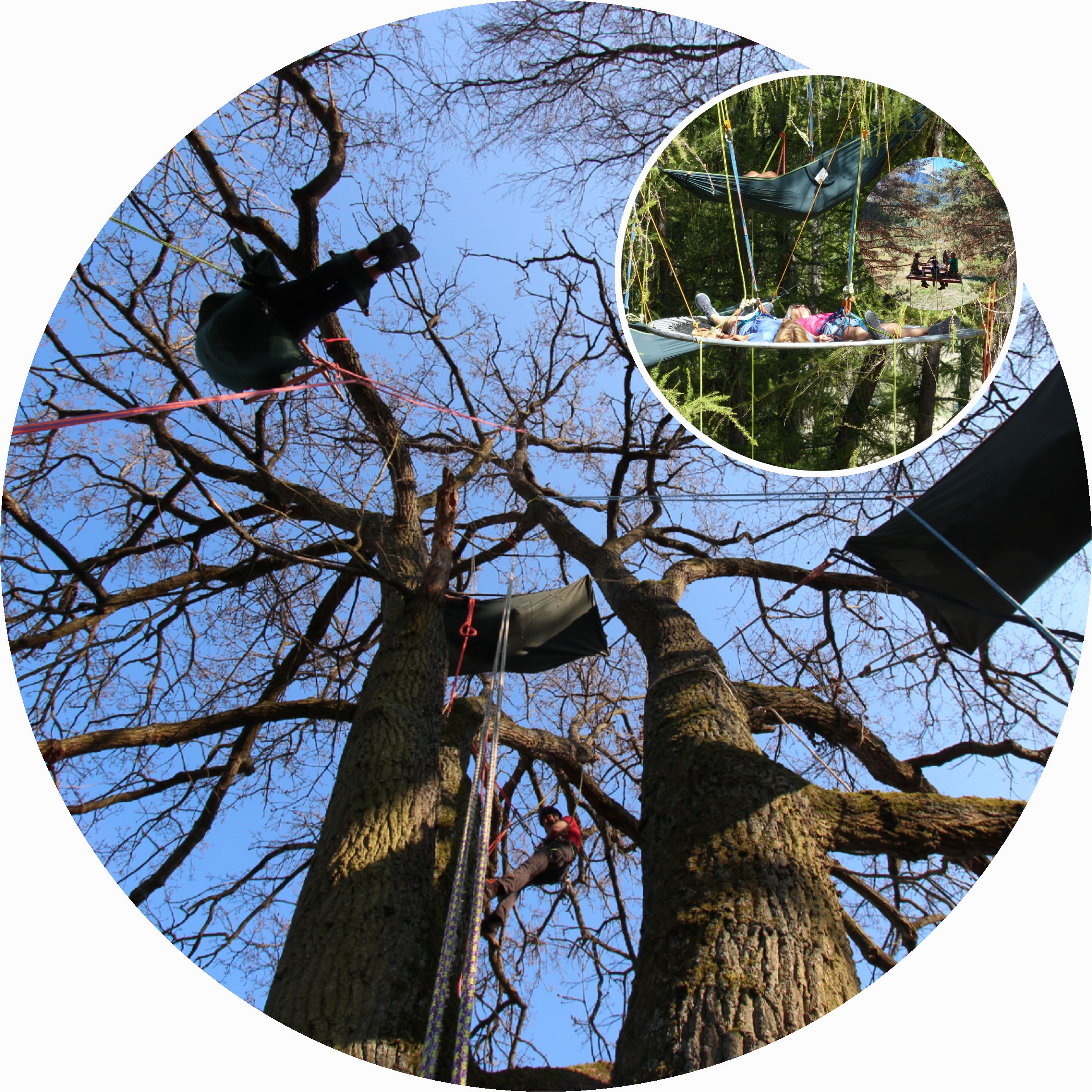 Grimpe dans les arbres Escalade branchée Nuit en portaledge Tyrolienne