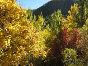 Couleurs étincellantes d'automne Photos exceptionnelles