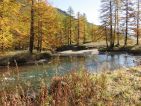 Le long de la Clarée l'Automne