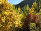 Couleurs étincellantes d'automne en Clarée