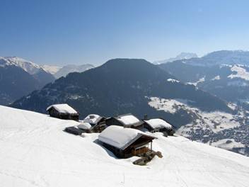 Description : chartreuse-10-credit-michel-depoorter.jpg