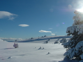 Hauts Plateaux du Vercors en raquettes