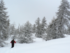 Ski nordique aux pays des Ecrins