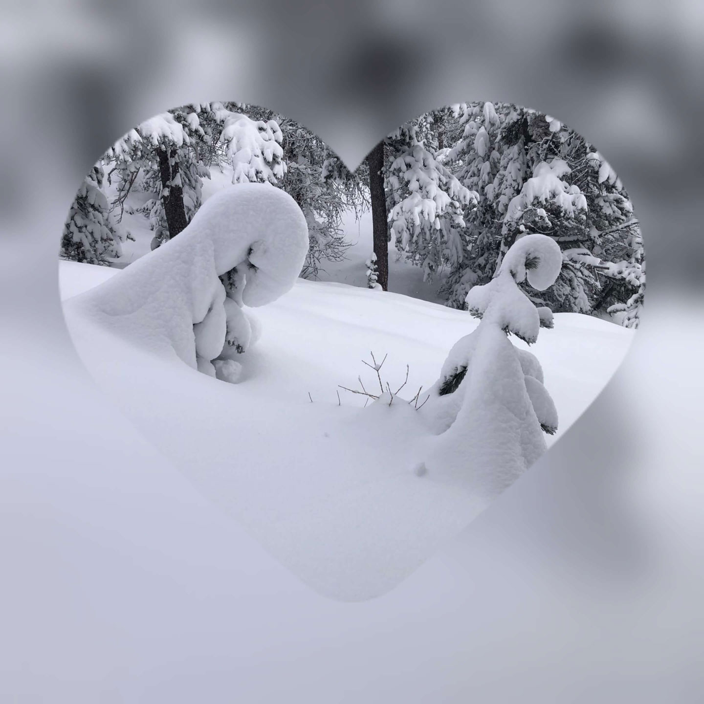 Balade en raquettes sur Briancon Serre Chevalier Claree Montgenevre